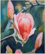 Magnolienblüte rosa, 60x50 cm